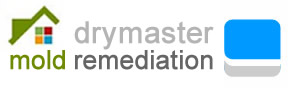 Drymaster Mold Remediation