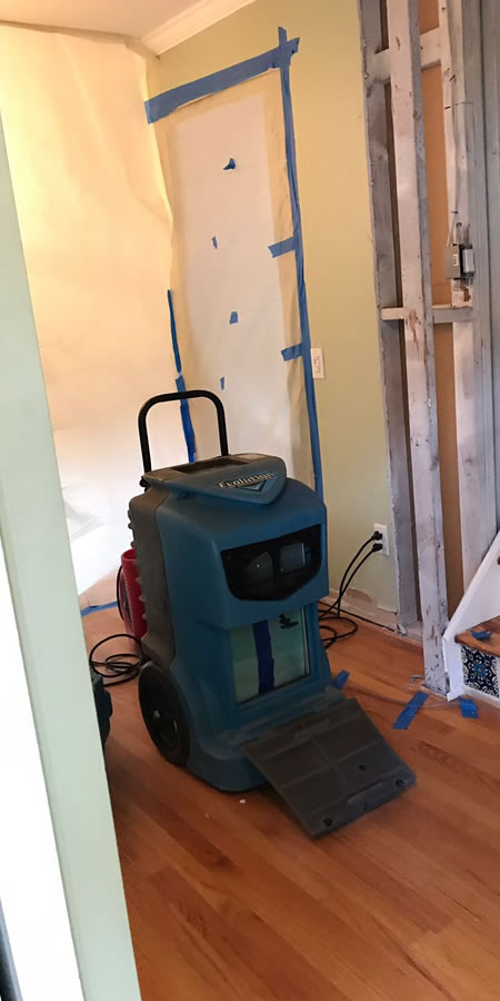 Mold cleanup by Fort Lauderdale experts