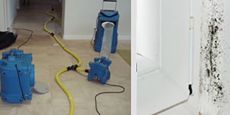 Water Damage restoration in Dania Beach